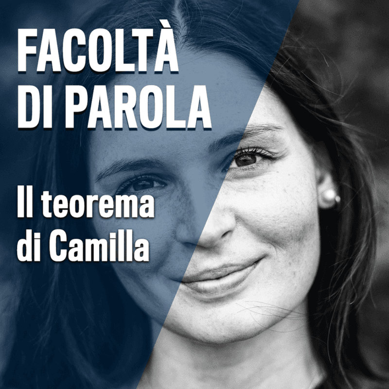 Cover Image for Il teorema di Camilla