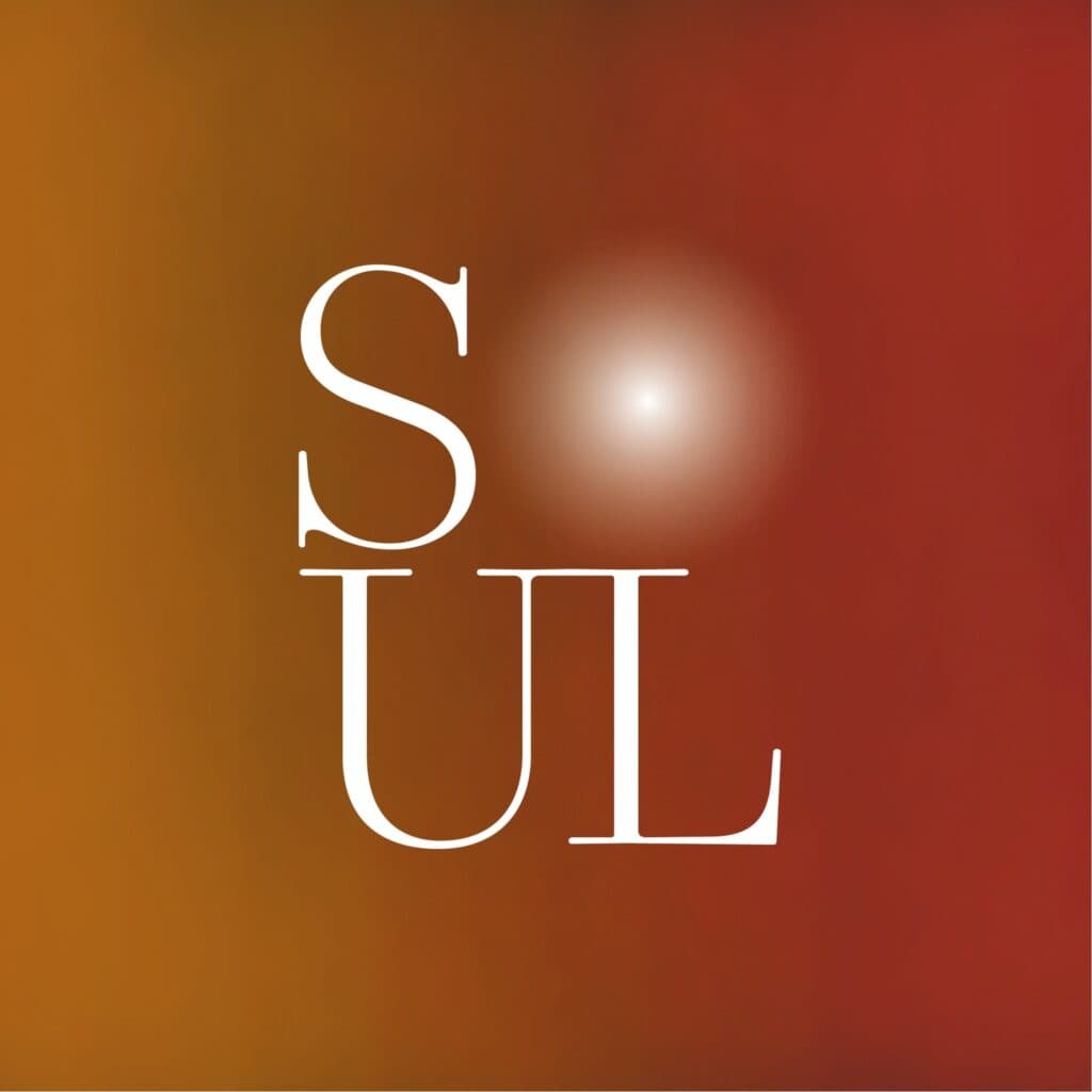 Cover Image for Festival Soul