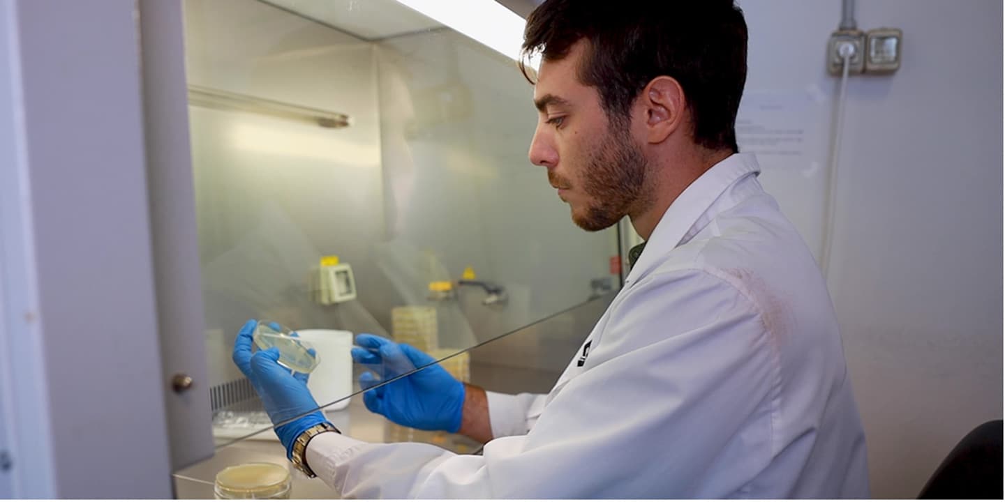 Emergenza siccità – I biostimolanti